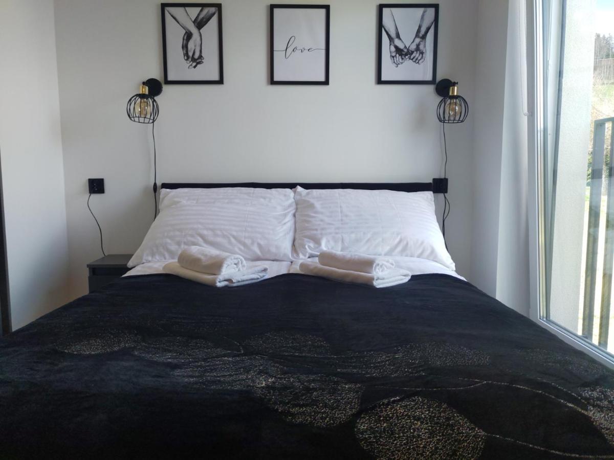 Apartament Zuza W Wisle Wisła Dış mekan fotoğraf